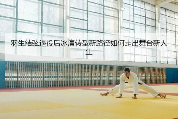 羽生结弦退役后冰演转型新路径如何走出舞台新人生